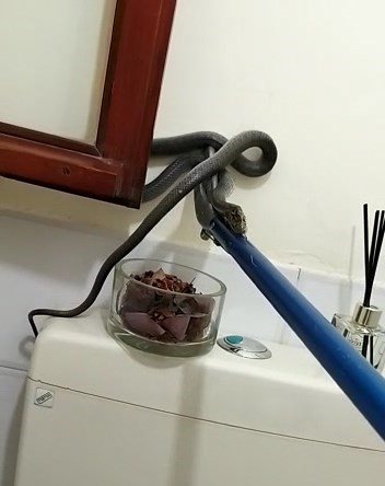 קרדיט - אליהו למברגר