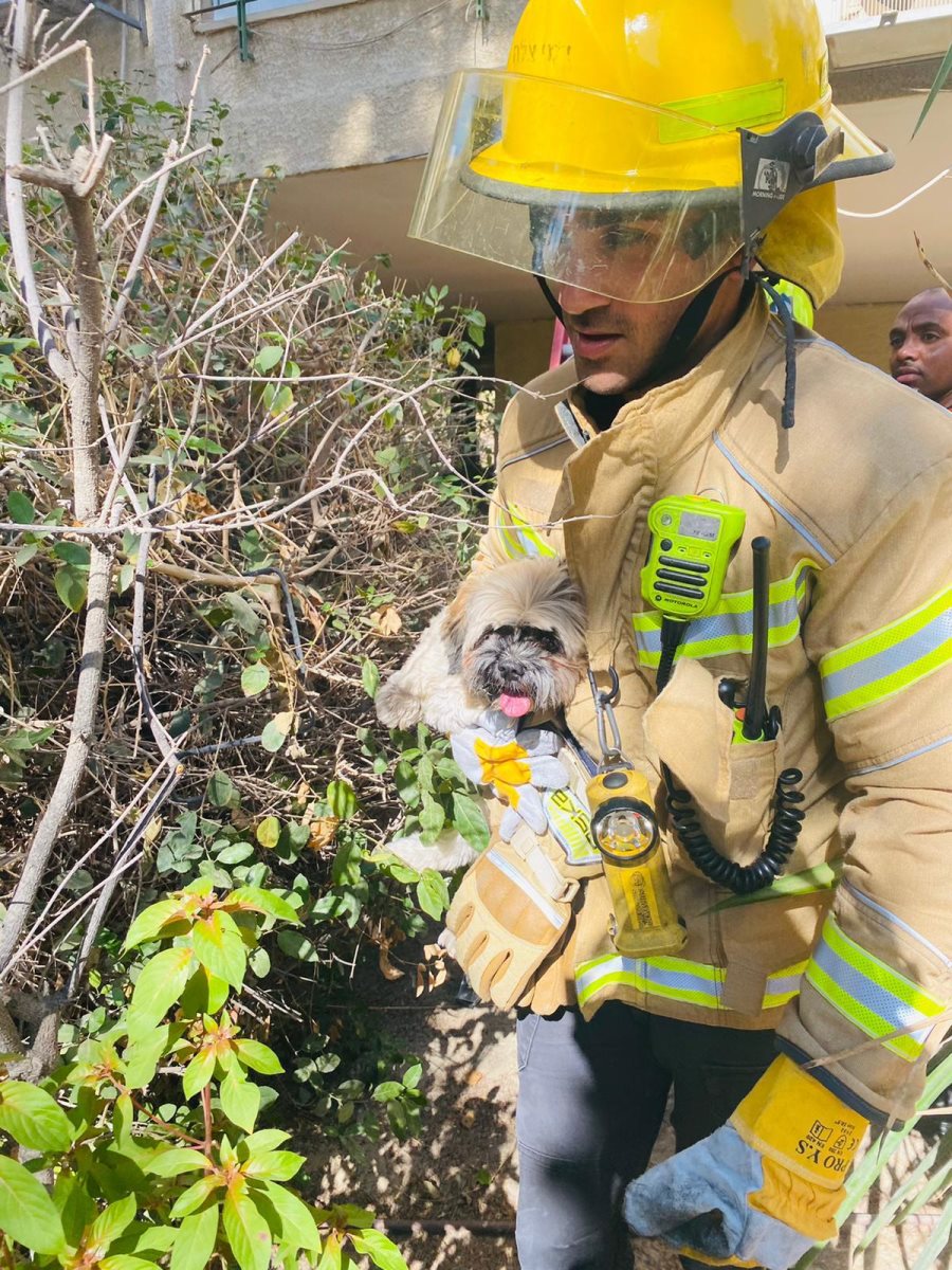 חולץ בשלום. קרדיט - כבאות והצלה