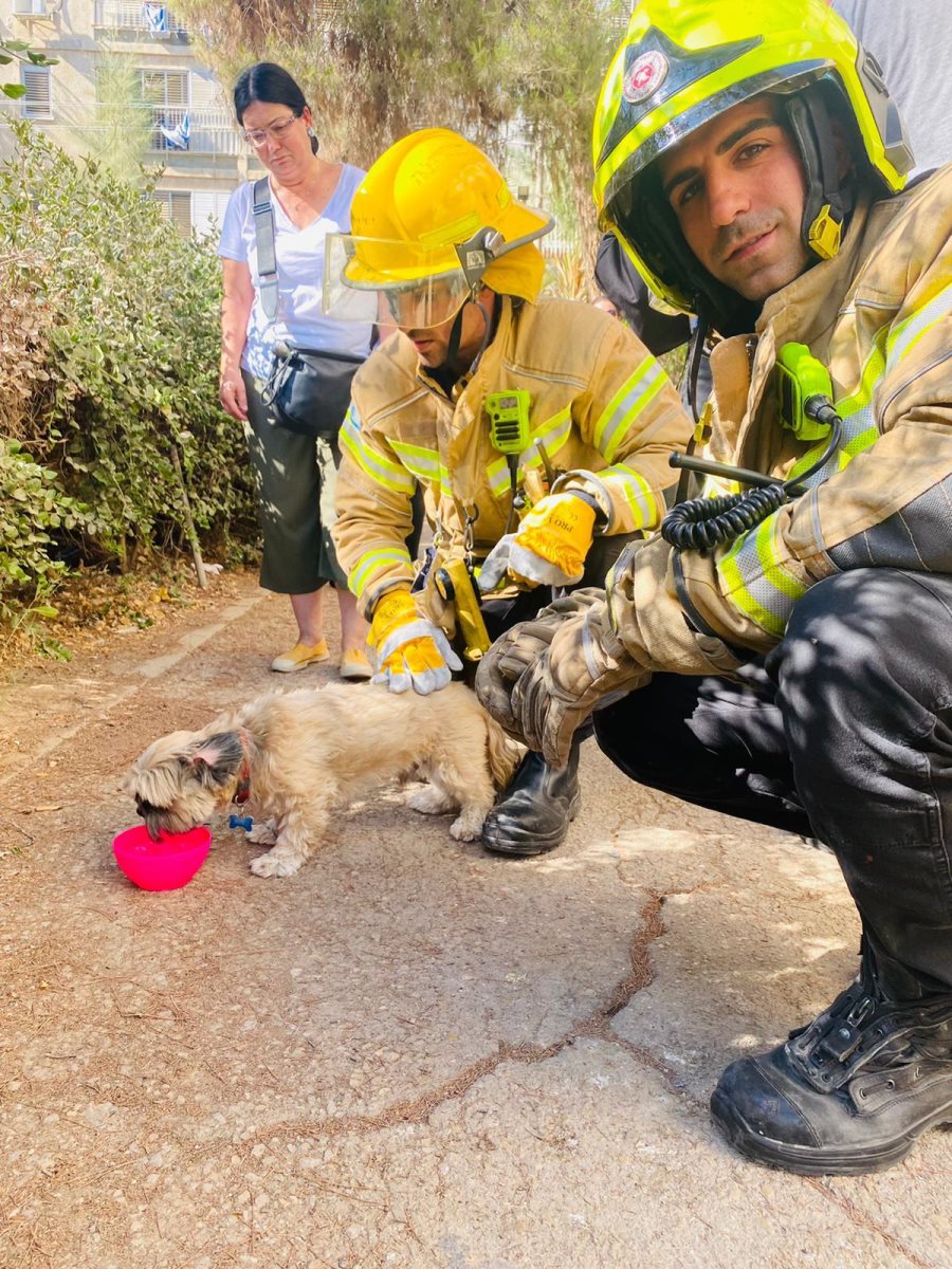 קרדיט - כבאות והצלה
