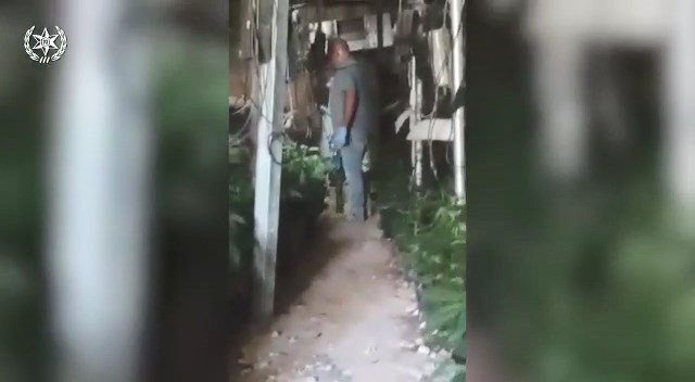 קרדיט - מג"ב