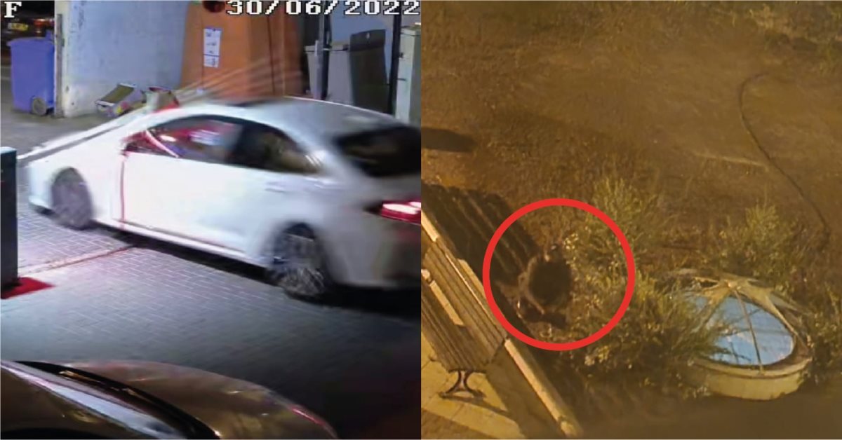 קרדיט - צילום פרטי (תוכן גולשים ע"פ סעיף 27א')