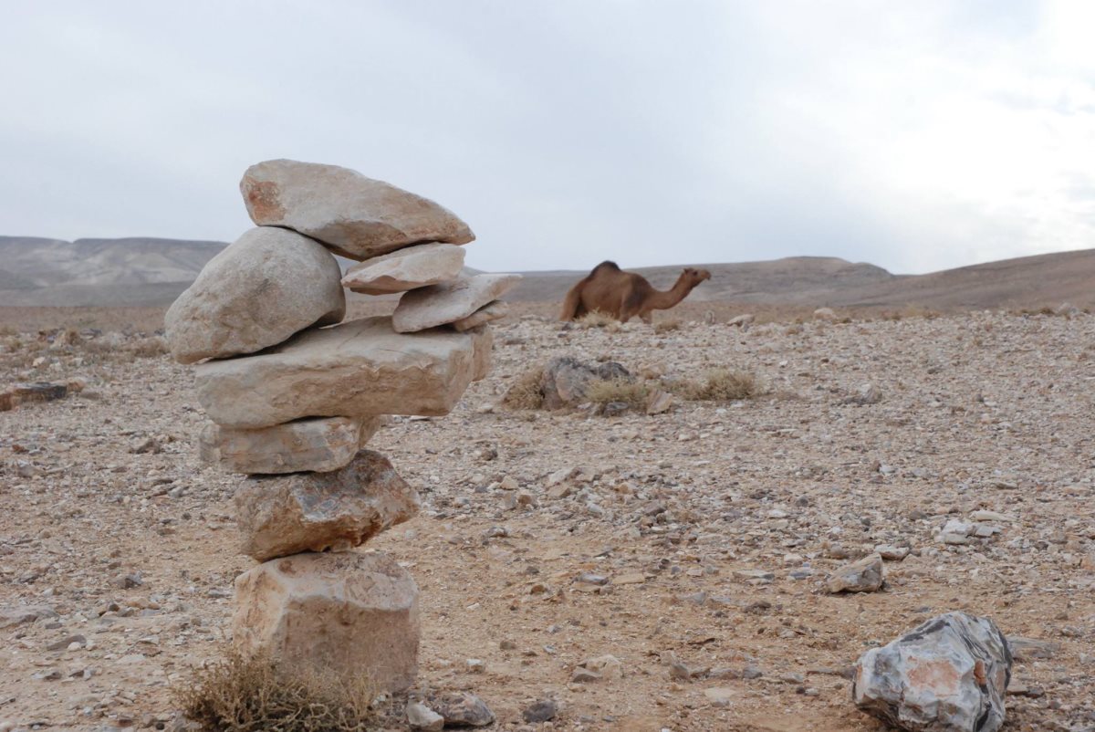 קרדיט יובל ארזי