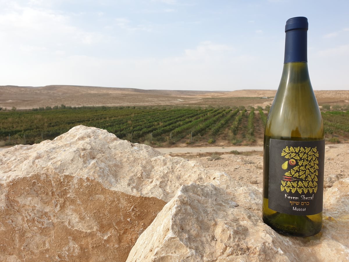 קרדיט צילום: לי בלוט