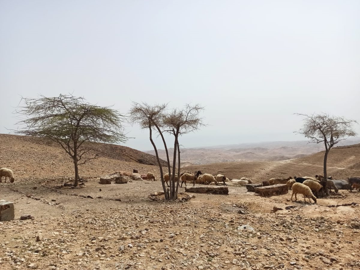 מצפה גורני - קרדיט ליאור אוקנין