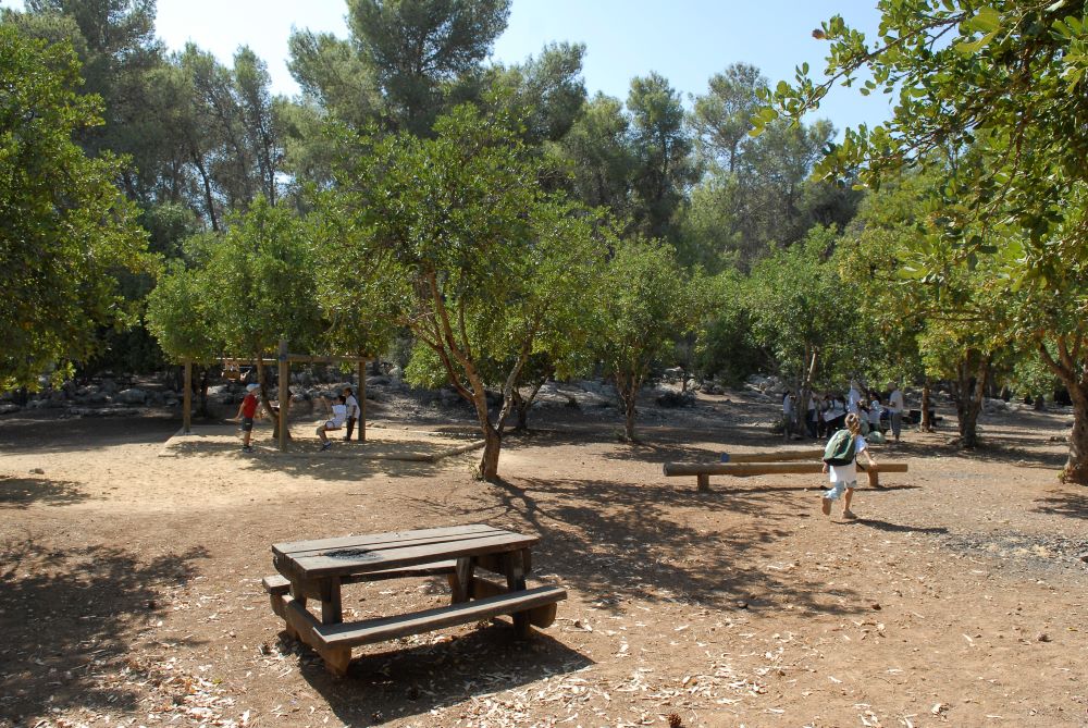 פארק בריטניה. צילום: אבי חיון