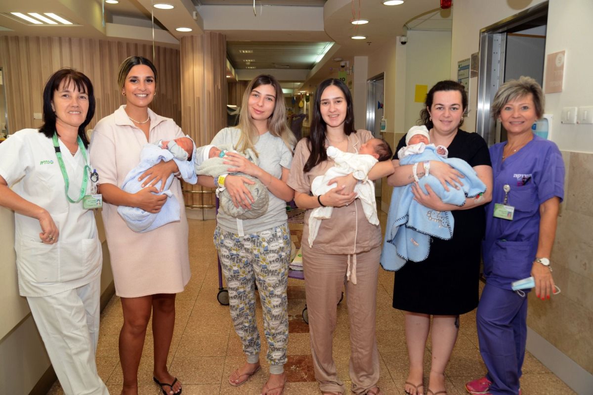 צילום: דודו גרינשפון