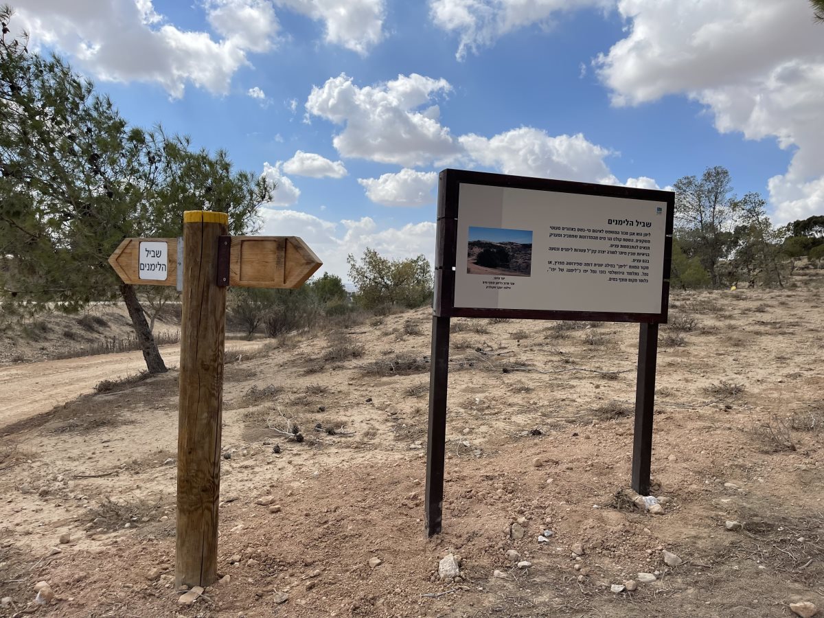 קרדיט: אורנית גינת