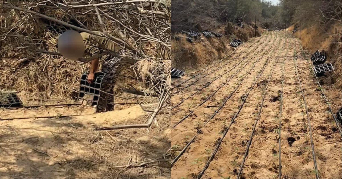 קרדיט - משטרת ישראל