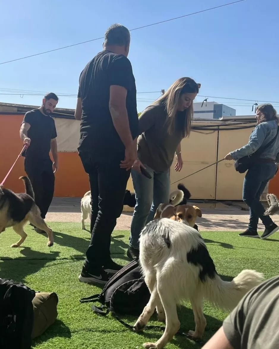 צילום: אורנית דר