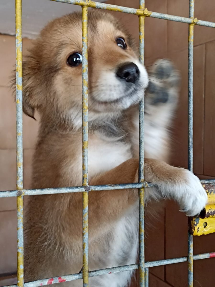 צילום: אורנית דר