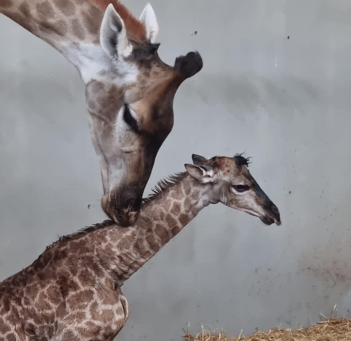 קרדיט - עיריית באר שבע