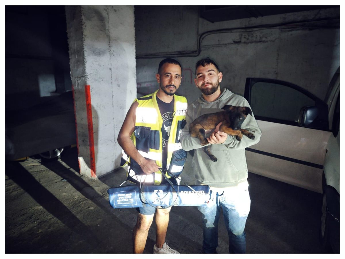 קרדיט - ידידים