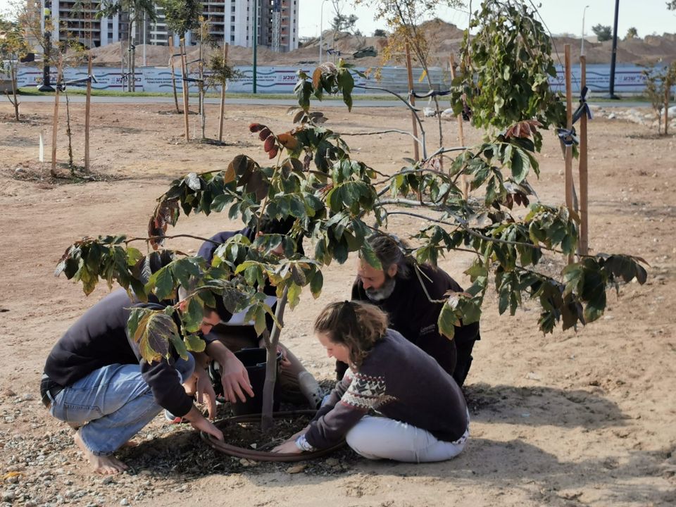 קרדיט: תוכן גולשים (ע"פ ס' 27א')