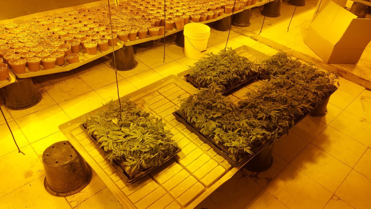 קרדיט - משטרת ישראל