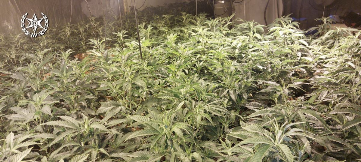 קרדיט - דוברות המשטרה