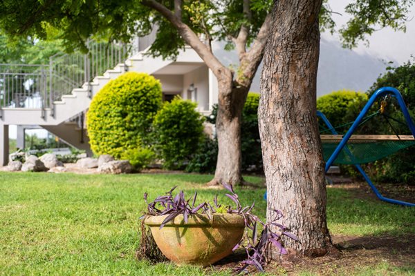 תיירות מזרע