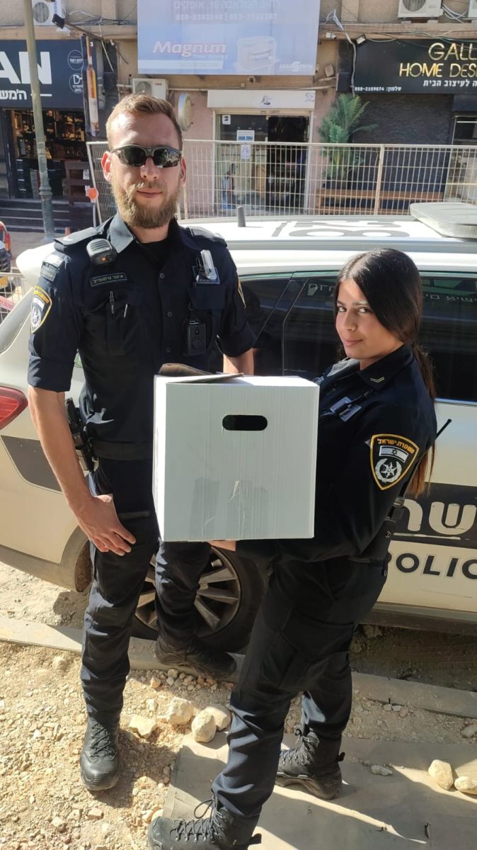 קרדיט - משטרת ישראל