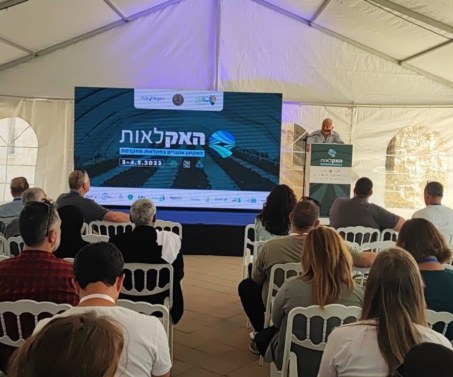 האקלאות. קרדיט - דודאים 