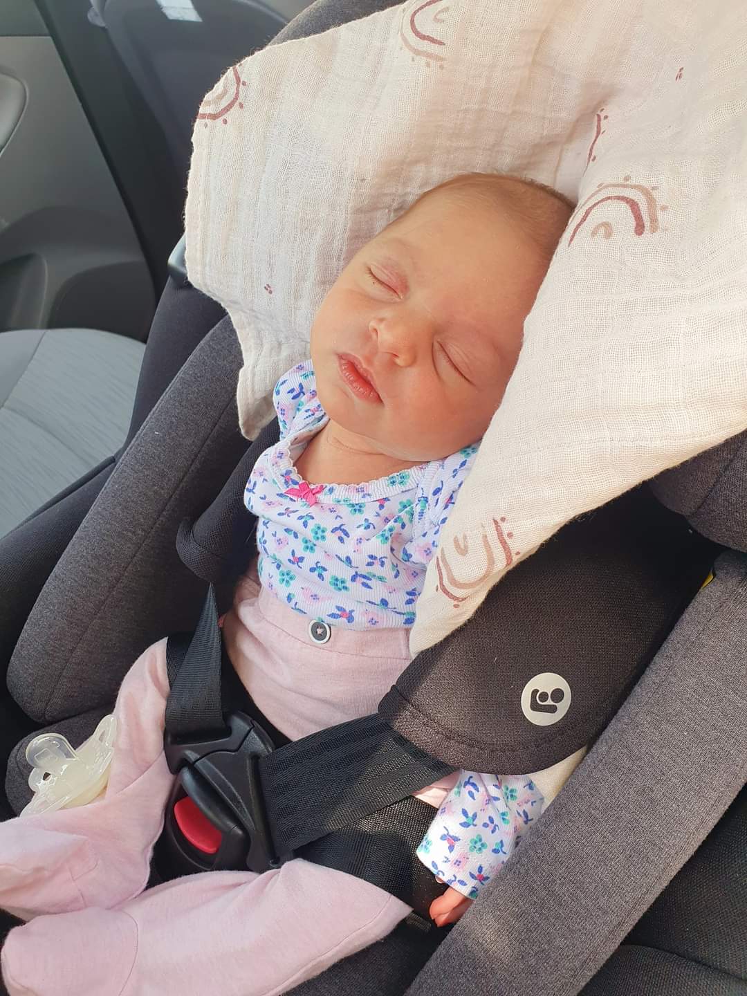 דילן מאי בביוף גונין. צילום: פרטי