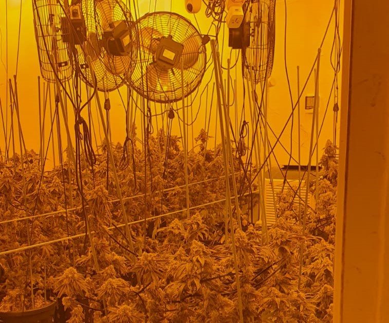 קרדיט - דוברות מרחב נגב