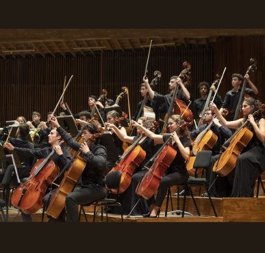 התזמורת הפילהרמונית הצעירה. קרדיט: יעל אילן