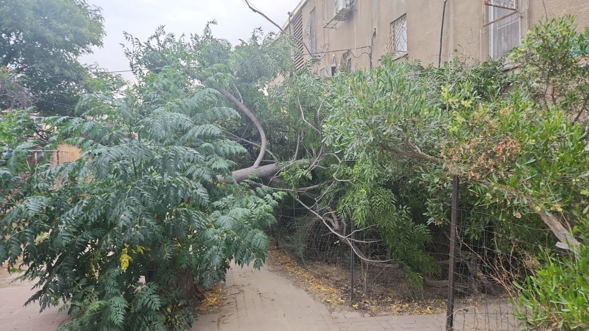 קרדיט - תוכן גולשים ע"פ סעיף 27א'