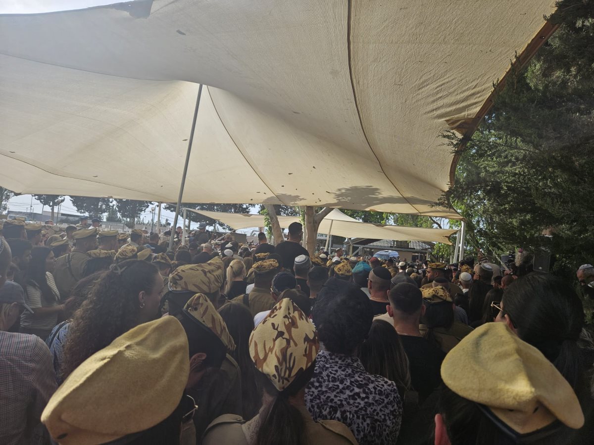 קרדיט - ארנולד נטייב