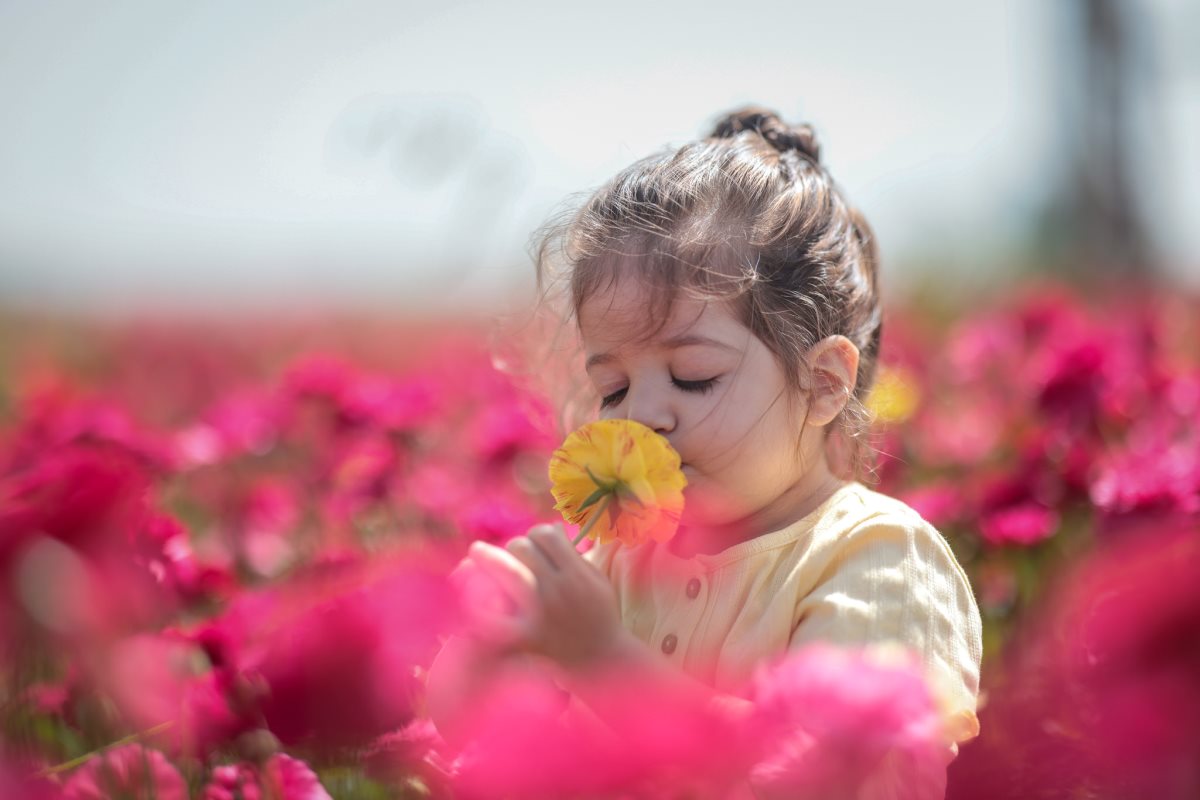 קרן אור ללוש. צילום: ניסים ללוש