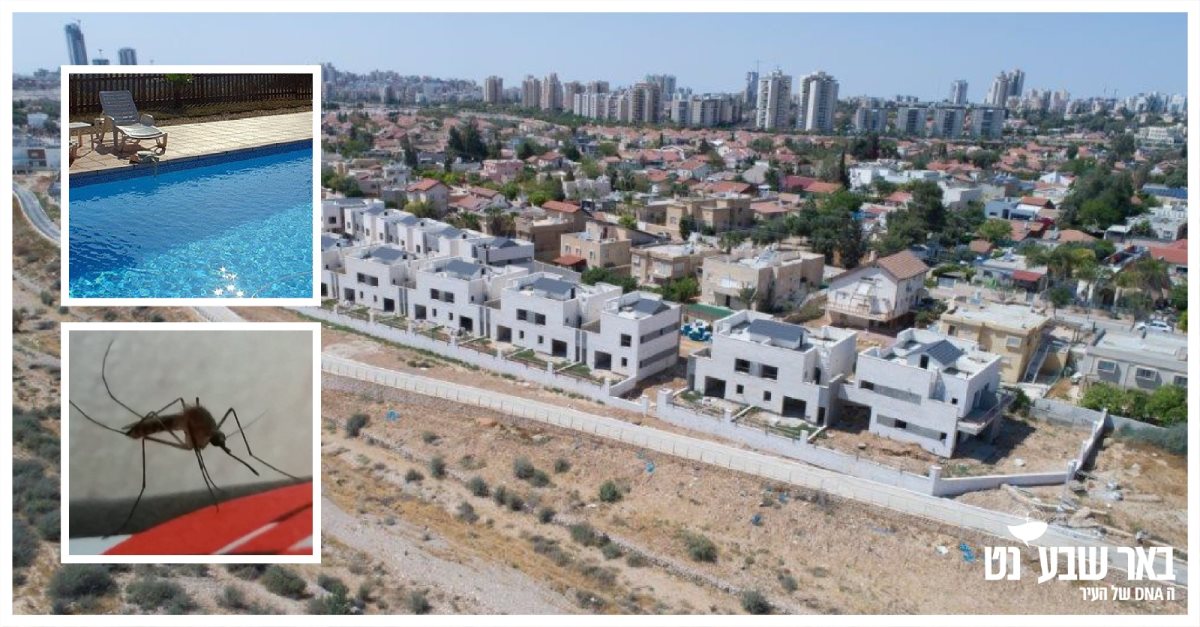 קרדיט - דיאגו מיטלברג, צילום פרטי, תוכן גולשים ע"פ סעיף 27א'