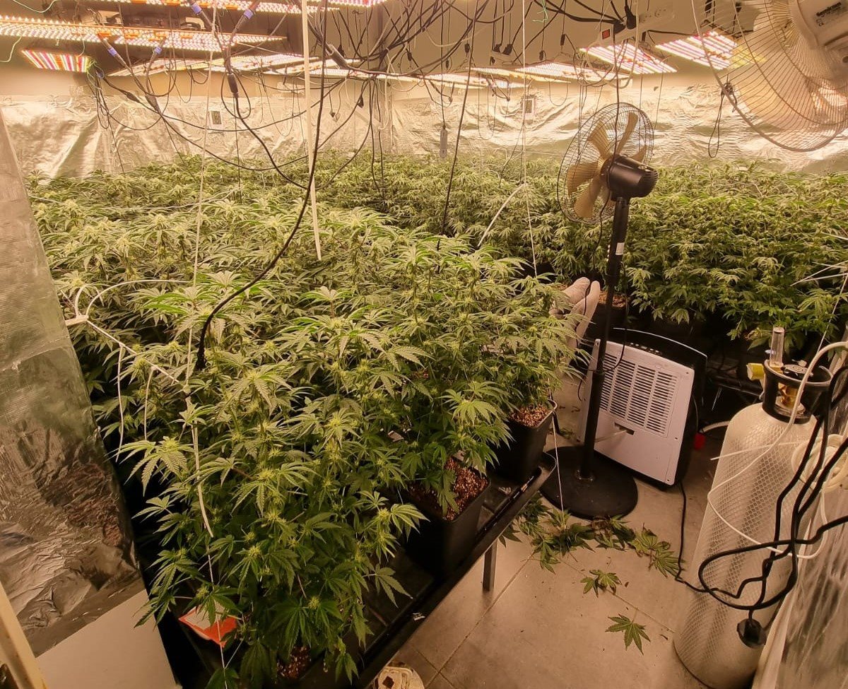 קרדיט - דוברות המשטרה