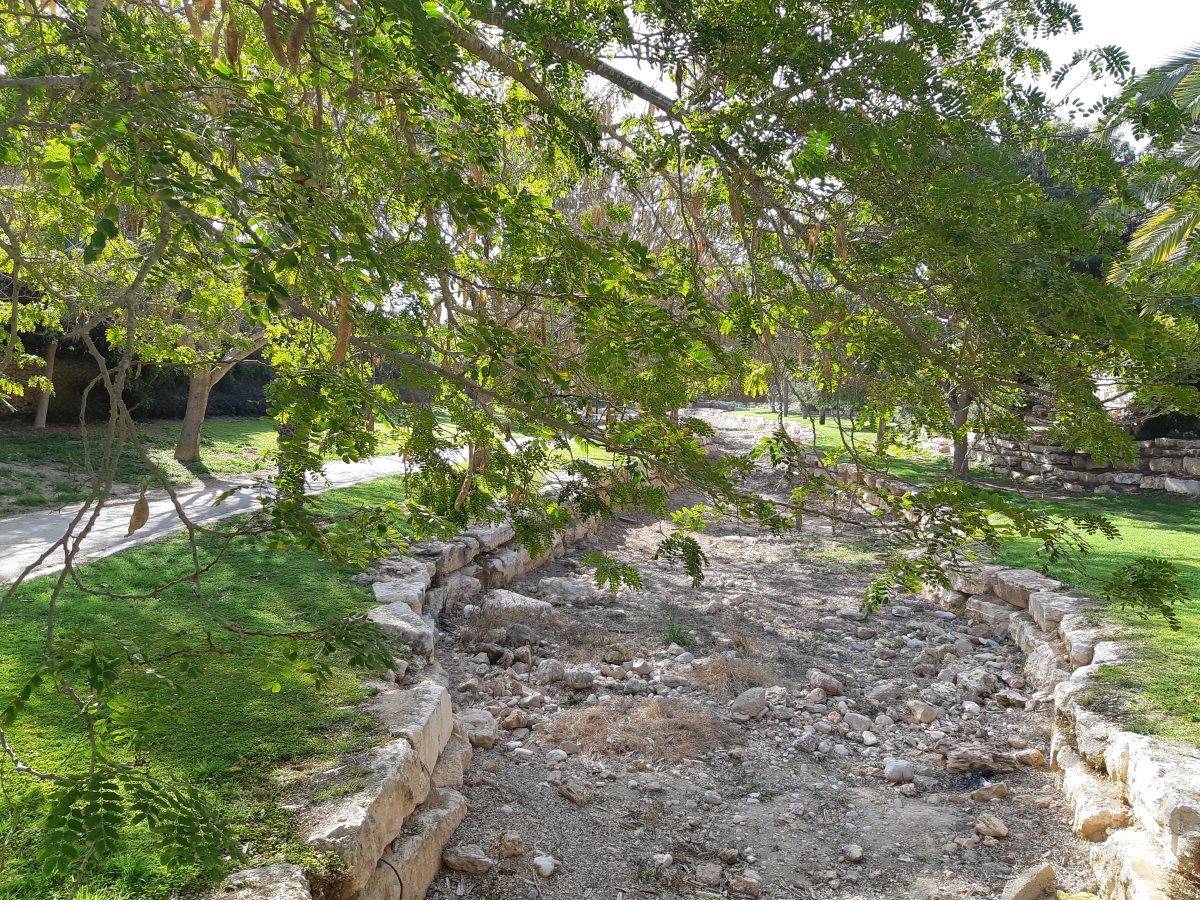 נחל בשכונה יא'. קרדיט - צילום פרטי