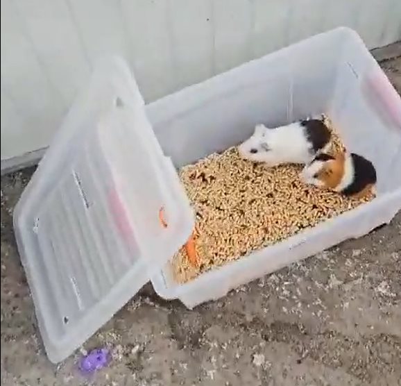 קרדיט - צילום פרטי