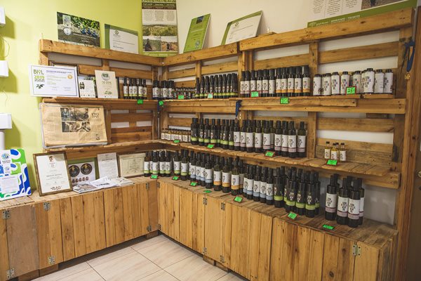 צילום שני בריל