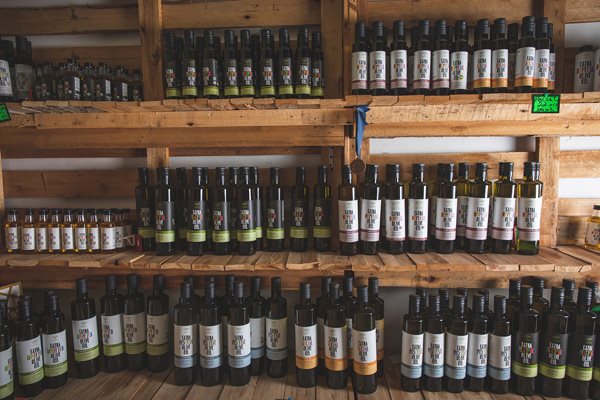 צילום שני בריל