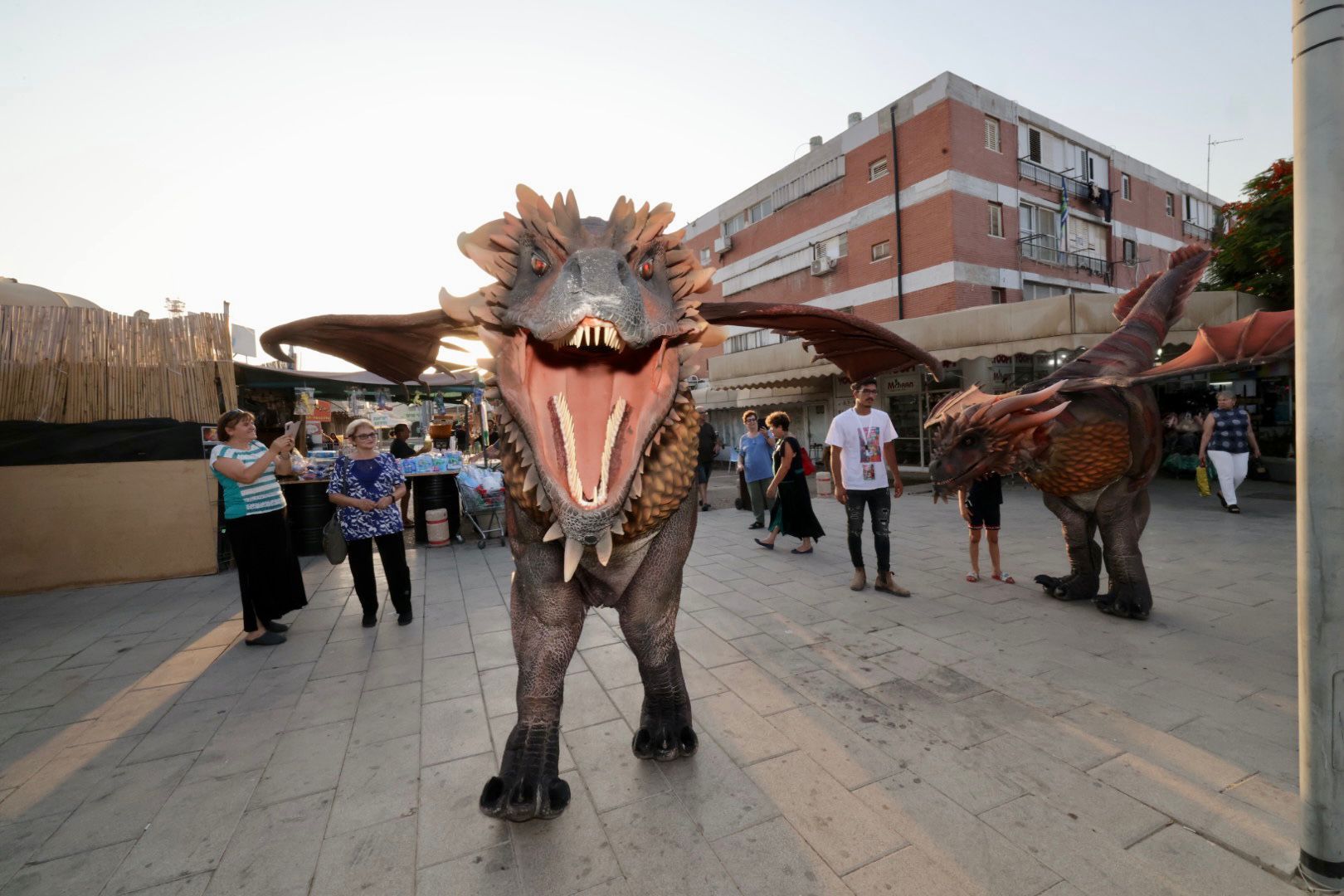 קרדיט צילום רונן טופלברג