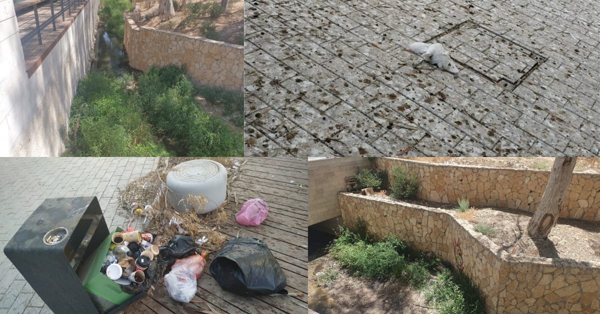 קרדיט - באר שבע נט/צילום פרטי