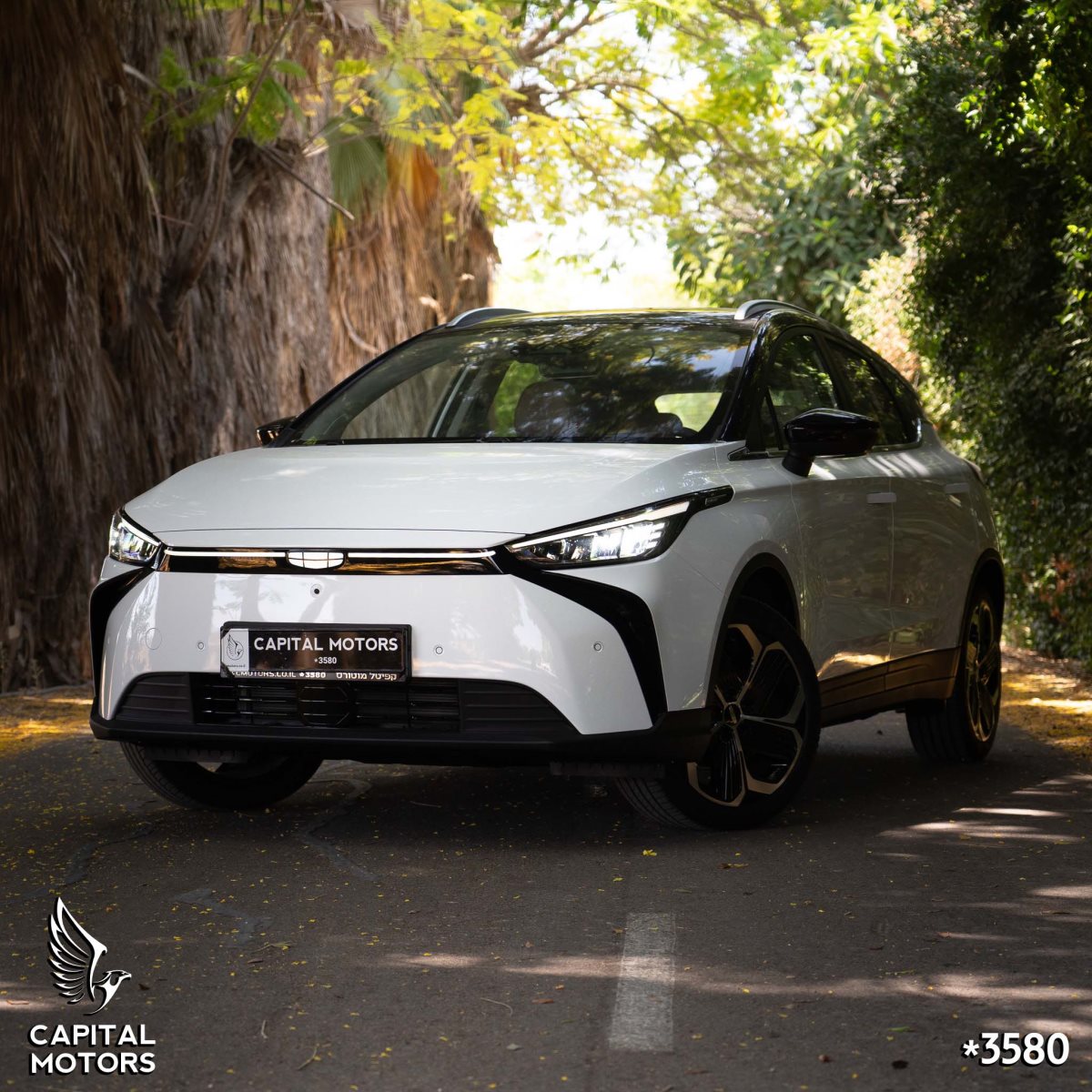 קפיטל מוטורס