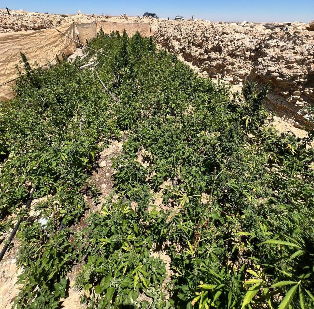 קרדיט - מג"ב