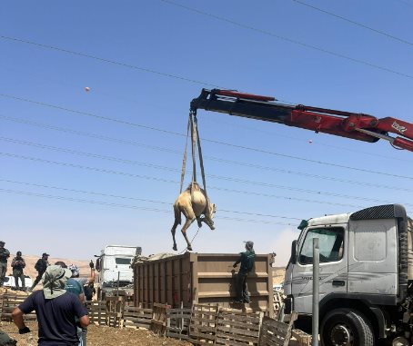 קרדיט - דוברות מרחב נגב