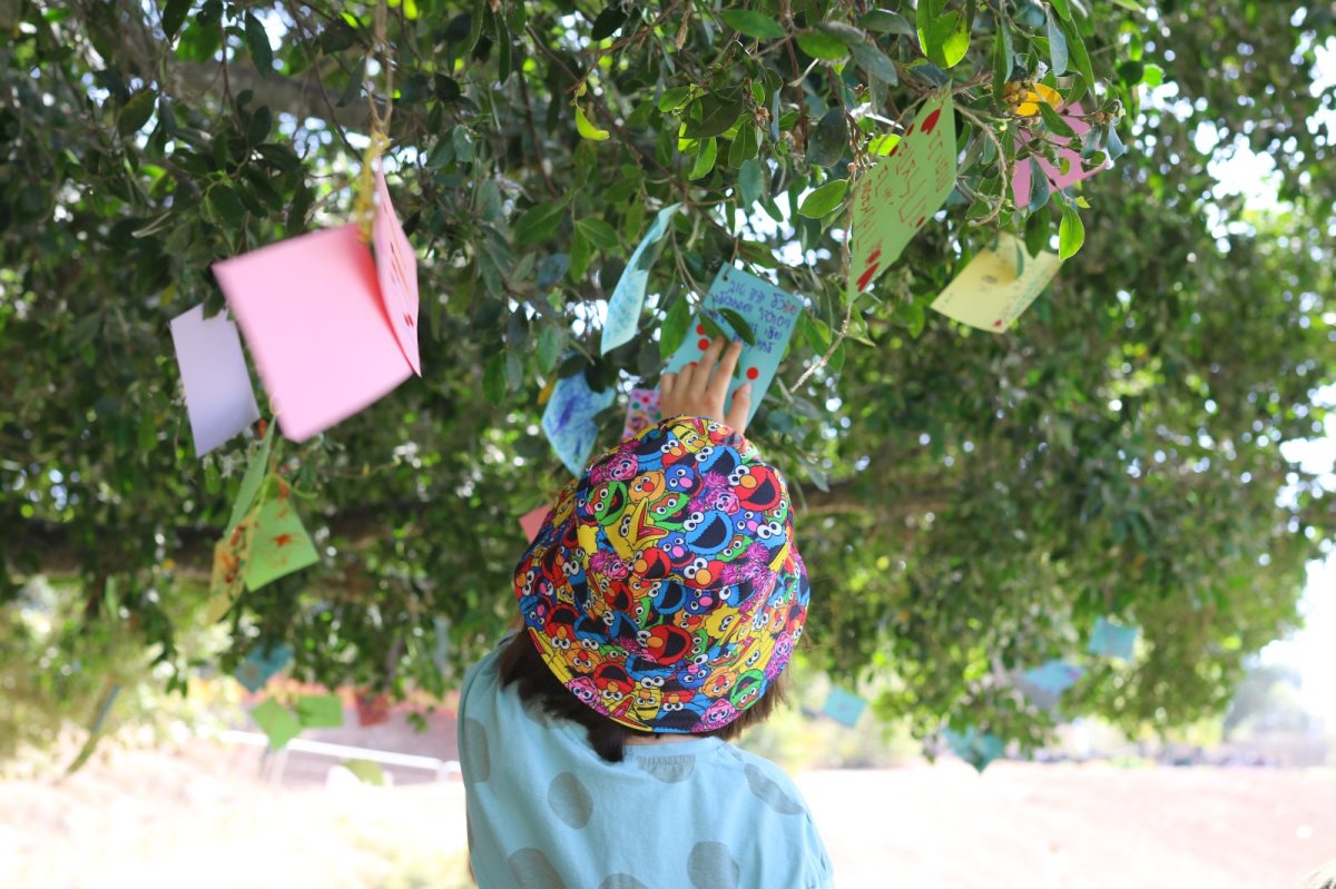 עץ המשאלות בגן לאומי תל אפק, צילום זיו זגורי רשות הטבע והגנים