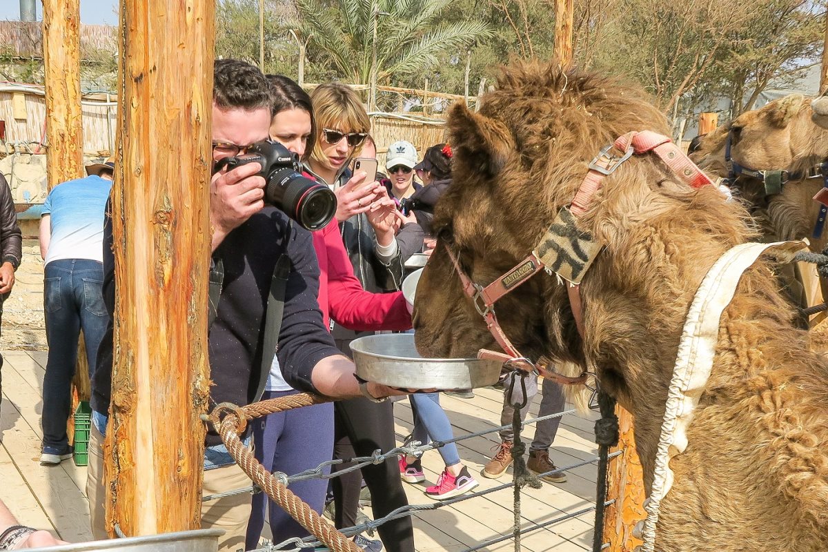 פסטיבל נוודי המדבר - באדיבות כפר הנוקדים