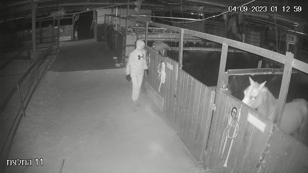 אחד הגנבים בשעת פעולה. תוכן גולשים שימוש לפי סעיף 27א בחוק זכת היוצרים