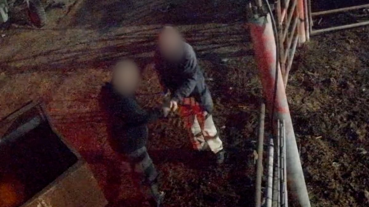 קרדיט - מג"ב