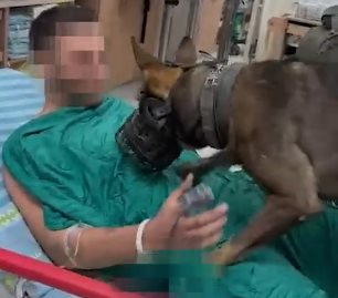 ר' וכלבו. קרדיט - סורוקה