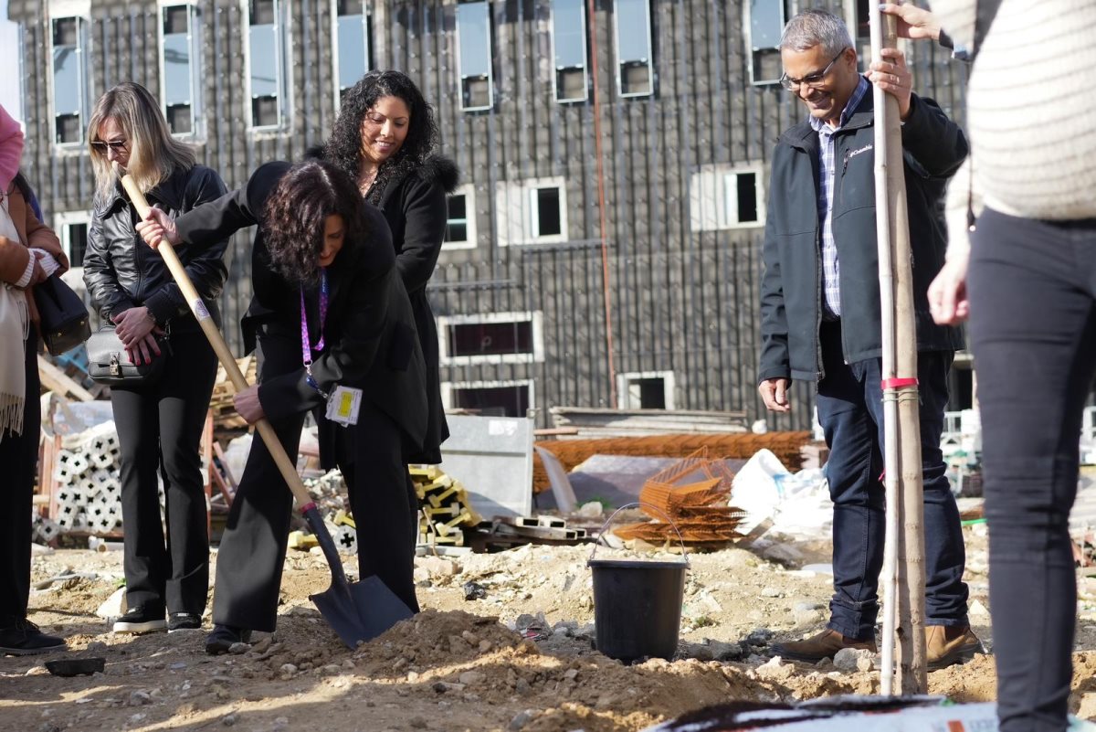 קרדיט - אסותא