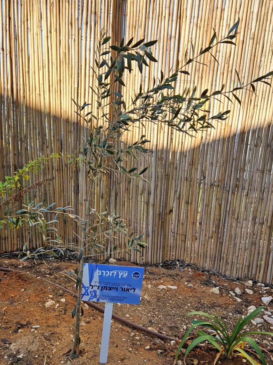 קרדיט - צילום פרטי