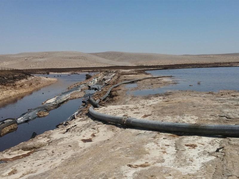 קרדיט - המשרד להגנת הסביבה