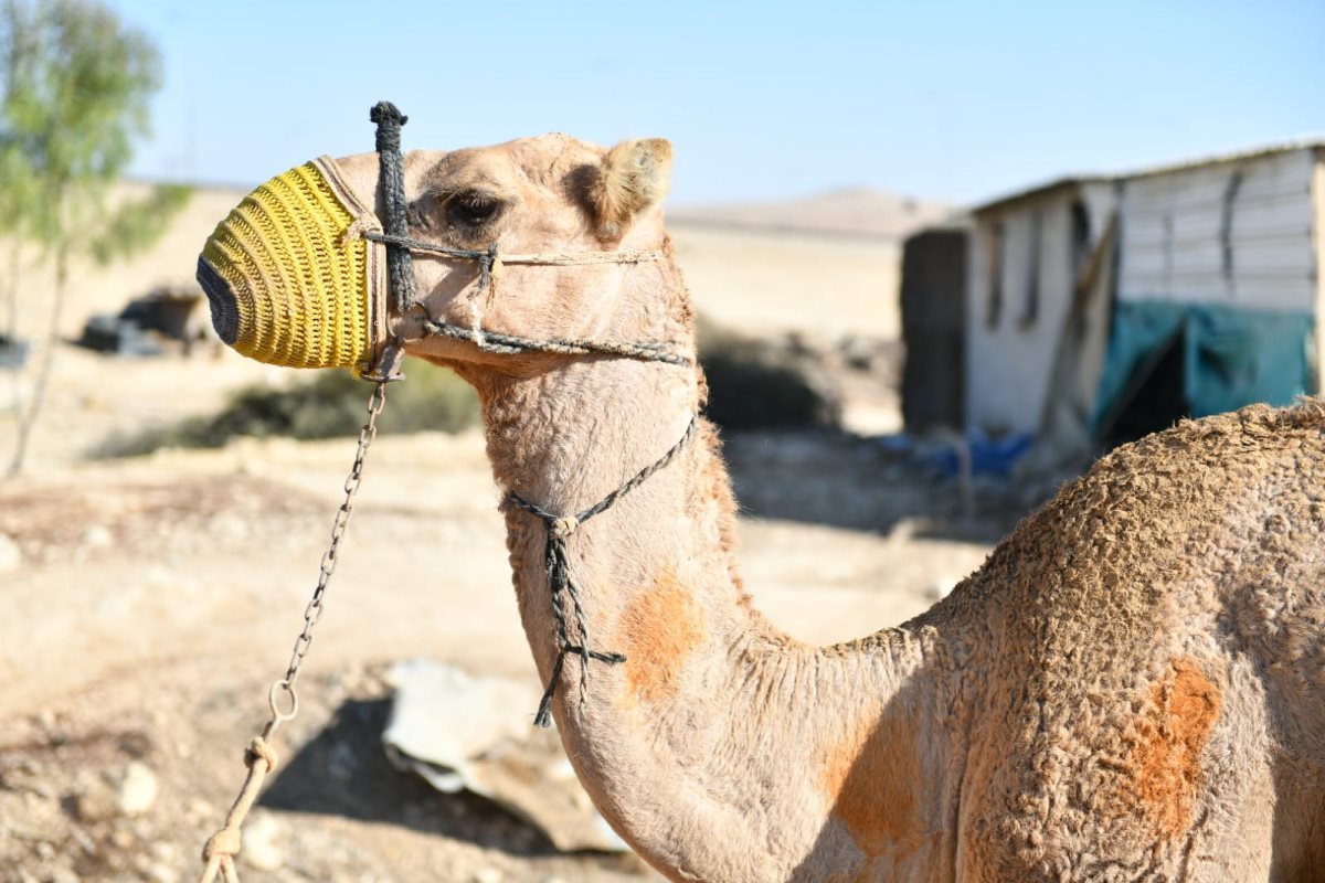 קרדיט: דוברות מרחב נגב