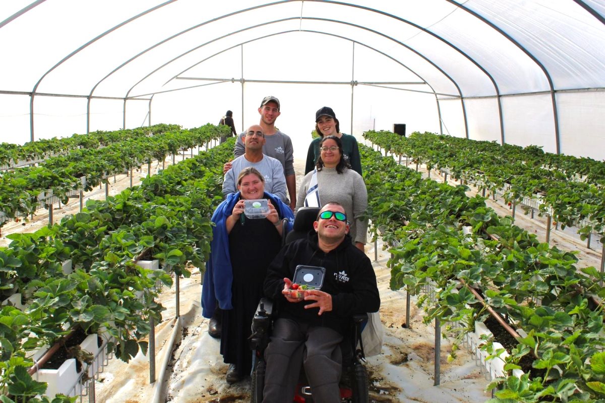 קרדיט: עדי נגב