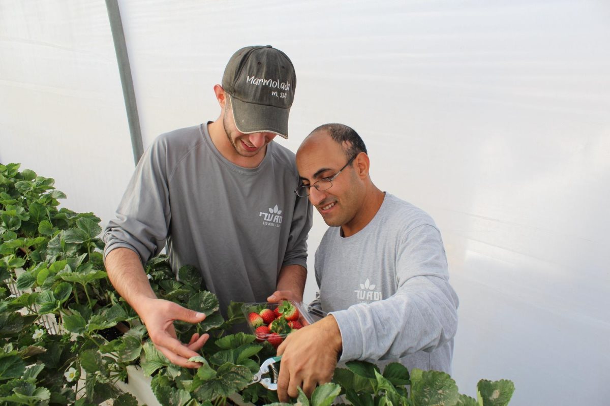 קרדיט: עדי נגב